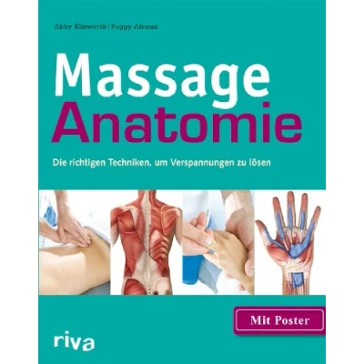 Afbeelding van Massage Anatomie