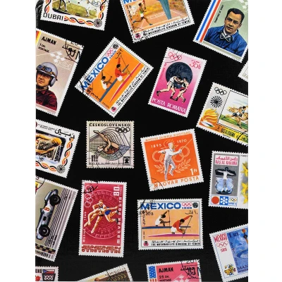 Afbeelding van Exacompta 25130E 5x ALBUM TIMBRES 30,5X2