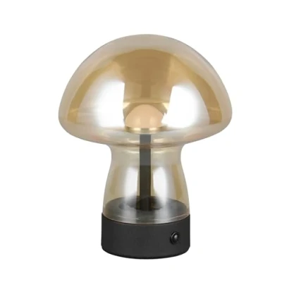 Afbeelding van REALITY DOOLEY Tafellamp Amber incl. 1x SMD 1,5 W 4 stappen TOUCH USB aansluiting Oplaadbaar Snoerloos