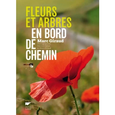 Image de Fleurs et arbres en bord de chemin