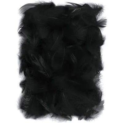 Afbeelding van Netuno 150 stuks zwarte decoratieve veren, 10 g, dons, vogelveren, knutselveren voor doe het zelf decoratie, Pasen, Kerstmis