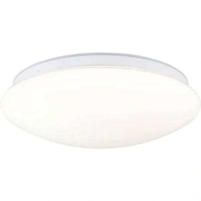 Afbeelding van Paulmann, Wandlamp + plafondlamp, Deckenleuchte Leonis (2420 lm)