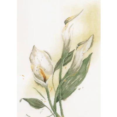 Afbeelding van Lanarte pakket kit Calla Lily PN 0008015 O VP