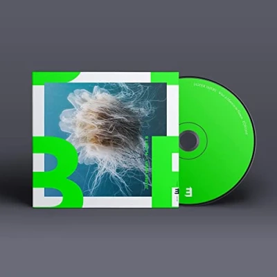Afbeelding van Jasper Hoiby What It Means To Be Human (LP)