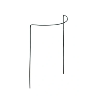 Afbeelding van Wovar Plantensteun Halfrond 60 x 30 18 cm Metaal Per Stuk