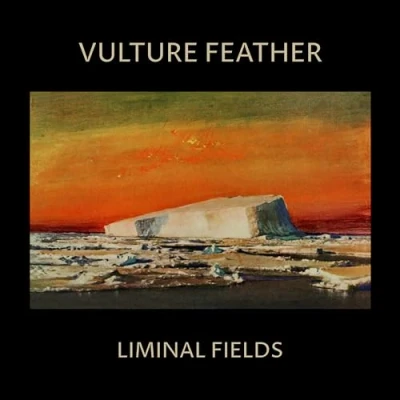 Afbeelding van Vulture Feather Liminal Fields (LP)