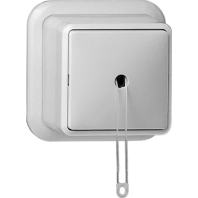 Afbeelding van Gira Opbouw wissel trekschakelaar 10A 250V zuiver wit met bodemplaat