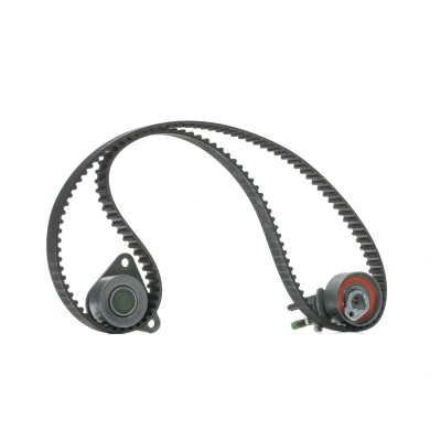 Afbeelding van Contitech Distributieriem kit CT979K2