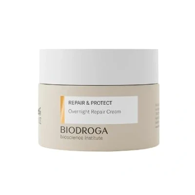 Afbeelding van Biodroga Overnight Repair Cream