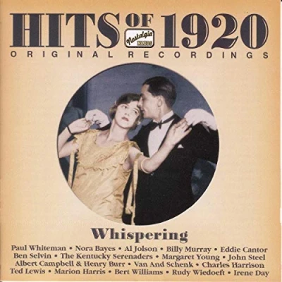 Afbeelding van Various Artists Hits Of 1920 (CD)