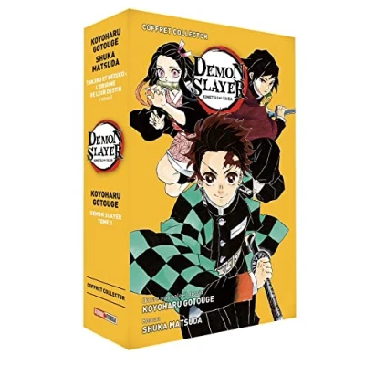 Afbeelding van Demon slayer roman jeunesse,01 + tome 01
