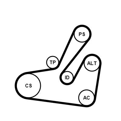Afbeelding van Contitech Poly V riemen kit 6PK1795K2