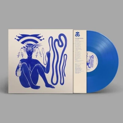 Afbeelding van Hiatus Kaiyote Love Heart Cheat Code (LP)