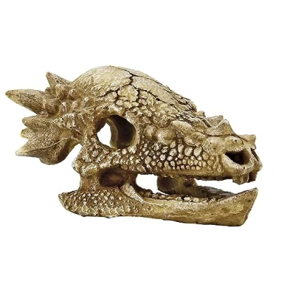Afbeelding van Superfish Skull T Rex Maat M