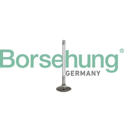 Afbeelding van Borsehung B10345 Zuigerveer