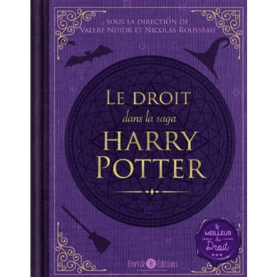 Image de Le droit dans la saga Harry Potter