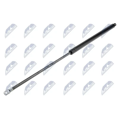 Afbeelding van NTY AE SA 013 Gasveer Achterklep (5e deur)