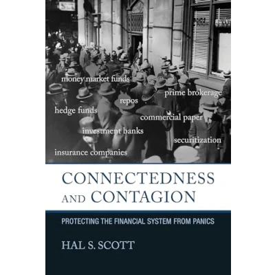 Afbeelding van Connectedness and Contagion