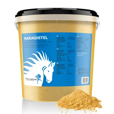 Image de Chardon Marie Cheval 3000 gr. Epices
