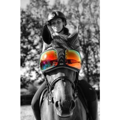 Image de eQuick Verres de Lunettes for eVysor arc en ciel One Size