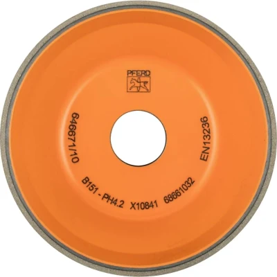 Afbeelding van PFERD 68661032 Schuurgereedschap Diameter 100 mm 1 stuk(s)