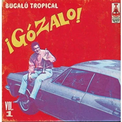 Afbeelding van V/A Gozalo! Vol.1 180grams (2 LPs)
