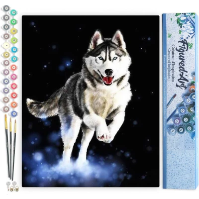 Afbeelding van Figured&#039;Art Schilderen op Nummer Volwassenen canvas Husky Handwerk acrylverf Kit DIY Compleet 40x50cm zonder frame