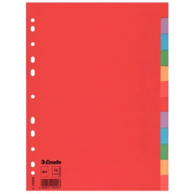 Afbeelding van Esselte Tabbladen Economy 12 Tabs