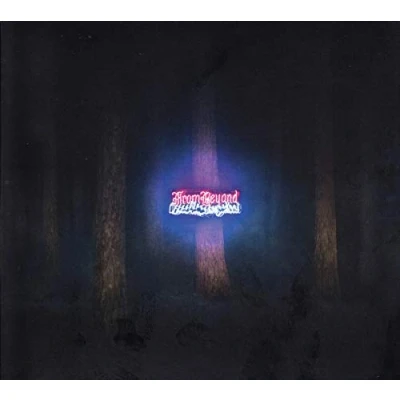 Afbeelding van From Beyond The Band (CD)