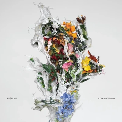 Afbeelding van Big Brave A Chaos Of Flowers (CD)