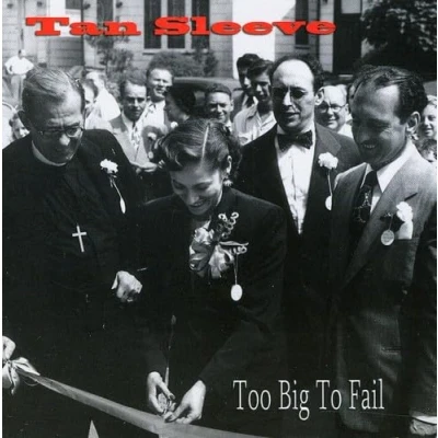 Afbeelding van Tan Sleeve Too Big To Fail (CD)
