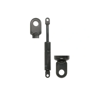 Afbeelding van STABILUS 4769QR Gasveer