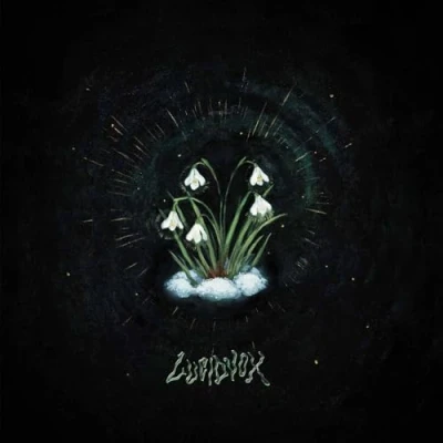 Afbeelding van Lucidvox That&#039;s What Remained (LP)