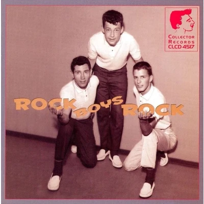 Afbeelding van Various Artists Rock Boys (CD)