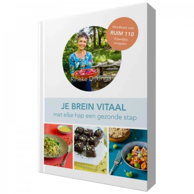 Afbeelding van Je Brein Vitaal Rineke Dijkinga