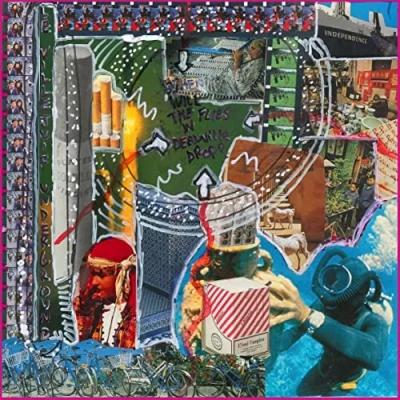 Afbeelding van Villejuif Underground When Will the Flies In Deauville Drop? (LP)