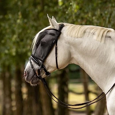 Image de Busse Fly Mask riding