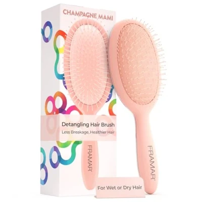 Image de FRAMAR Brosse à cheveux démêlante Brosses humides pour femme, (Champagne)