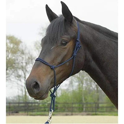 Image de Busse Rope halter Standard