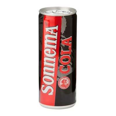 Afbeelding van Sonnema Berenburg Cola 12x250ml