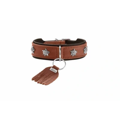 Afbeelding van HUNTER Hondenhalsband München. Kleur: cognac/zwart, leer, elegante kostuumdetails, zacht en robuust, bontvriendelijk, luxueus, milieuvriendelijk, duurzaam, Made in Germany, maat: