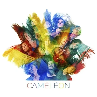 Afbeelding van Thierry Maillard Ensemble Cameleon (CD)