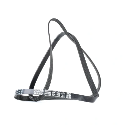 Afbeelding van Poly V riem DAYCO 5PK1750