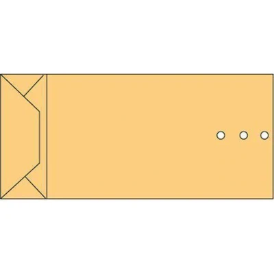 Afbeelding van Envelop Quantore monsterzak 100x245x40mm bruin 250stuks