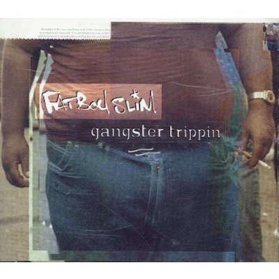 Afbeelding van Fat Boy Slim gangster Trippin cds
