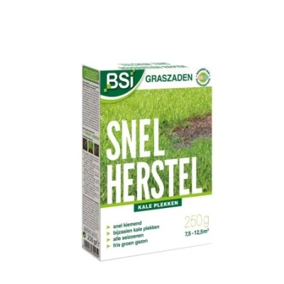 Afbeelding van Graszaad snel herstel 250gr