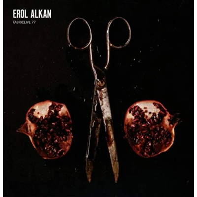 Afbeelding van Erol Alkan Fabriclive 77 (CD)