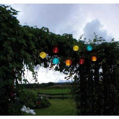Afbeelding van Solar Feestverlichting 270cm met 10 lampjes Koel Wit Tuinverlichting