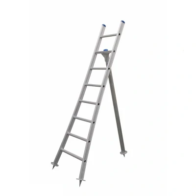 Afbeelding van Eurostairs Plukladder 1x8 Sporten