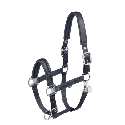 Image de Eskadron Licol Classic Sports &#039;25 Mattgloss Jewel Double Pin MarinVendu par Agradi